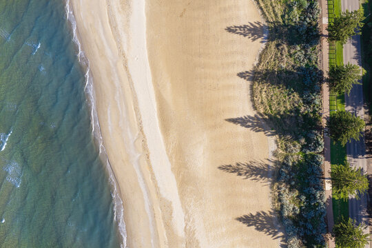 Pine trees casting long shadows over a deserted sandy beach