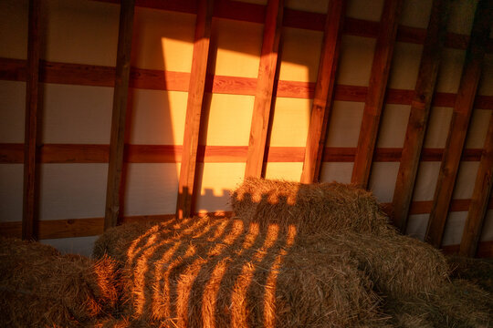 Golden Light on Barn Hay