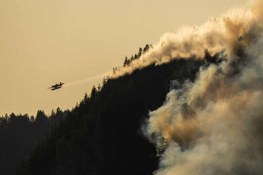 Airplane drops water on a wildfire from above.