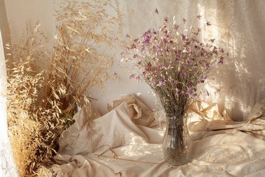 A room with the dry flowers in the sunlight