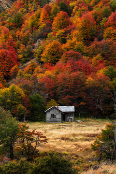 Rustic Cabin Below Autumn Slope