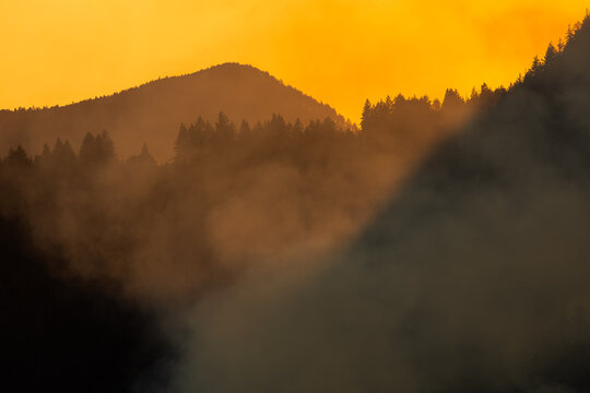 Wildfire Burning Through a Forest Under a Smoky Orange Sky