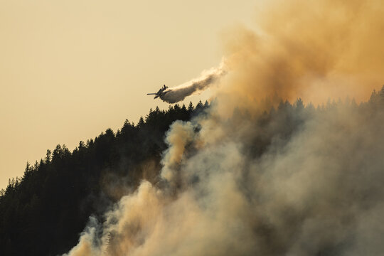 Airplane drops water on a wildfire from above.