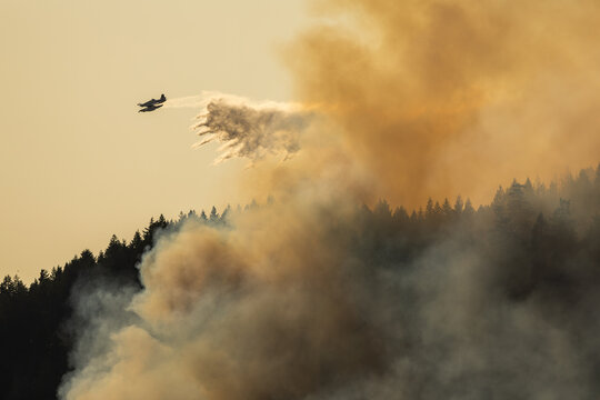 Airplane drops water on a wildfire from above.