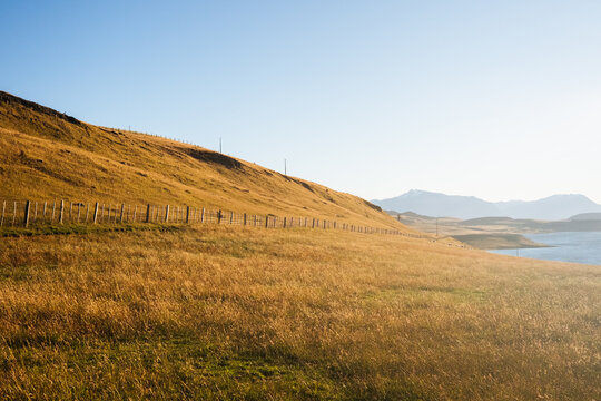 Golden Hillside Above a Lake
