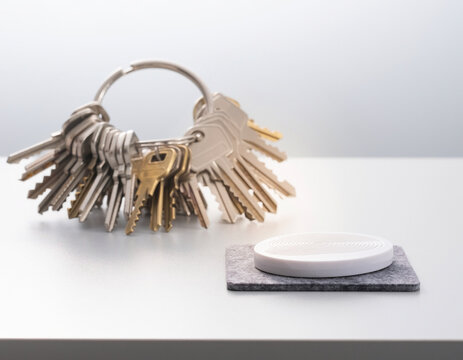 House keys paired with a biometric fingerprint access device