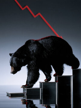 Black bear descending financial steps with red market decline line expressing economic concern