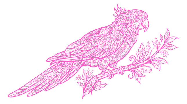 Parrot tropical pattern vector art