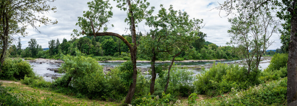 Umpqua River Panorama From Alfred S Tyson Park In Elkton Oregon