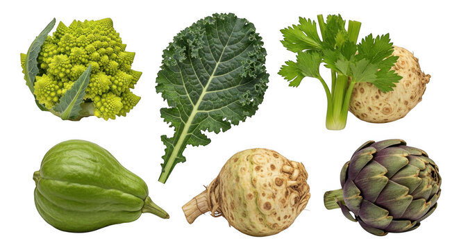 Assorted fresh vegetables including Romanesco broccoli kale celery celeriac gourd and artichoke isolated on transparent background