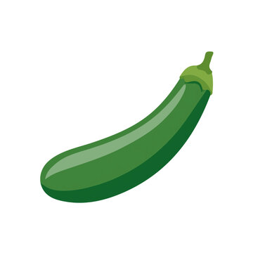 2D flat vector graphic of a Zucchini in icon style, isolated on white background