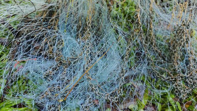 Clean fishing net air drying