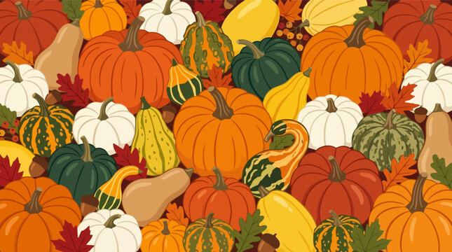 Colorful autumn harvest pattern with many different pumpkins and leaves Vector