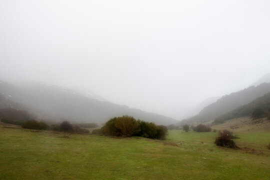 Mystical forest path with lush mossy rocks and green trees in Tejeda de Tosande Palencia Spain on a misty day
