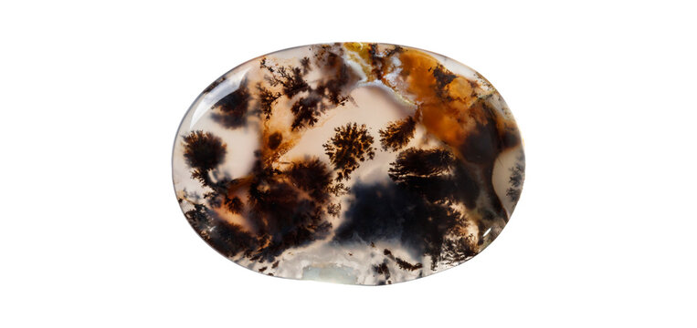Polished moss agate gemstone with dendritic tree-like inclusions. Elegant oval cabochon template for luxury jewelry design and text copy space