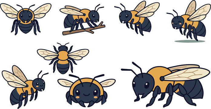 Honeybee, cartoon character and bumble bee set for nature, wildlife and insect education. Cute bug, honey maker and organic product icon for garden branding, spring season, apiary and hive colony