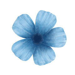 blue flower  © Siratus