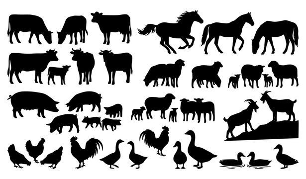 Farm animal silhouette vector collection with pigs cows horses sheep ducks and agricultural livestock