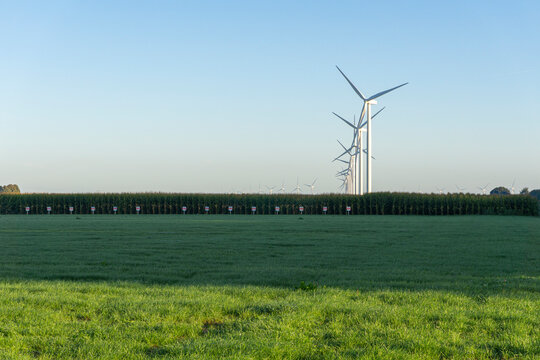 Tall wind turbines rise over open green farmland