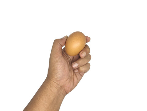 Human hand holding a raw chicken egg isolated on transparent background for food concept.