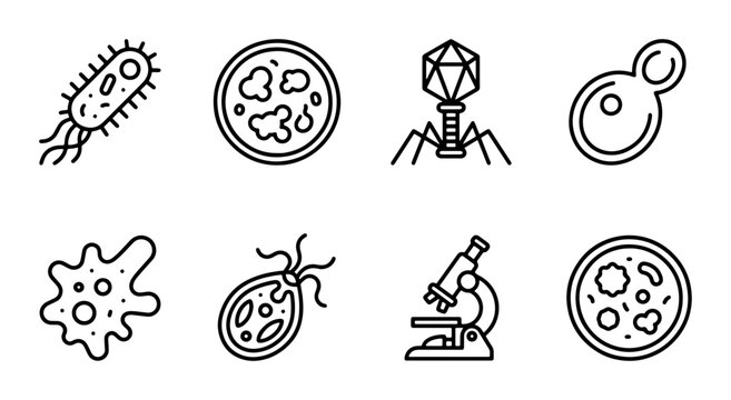 Microbiology Icons Set: Bacteria, Virus, Yeast, Amoeba, Microscope, Petri Dish Vector Graphics