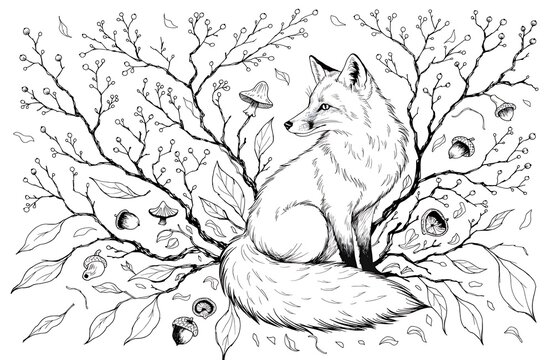 Fox sitting on tree branch in forest illustration