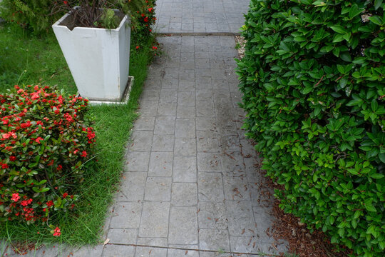 Garden landscape design with pathway in garden and footpath in picturesque summer park and staircase in backyard,Paving stones on floor in park,space for text.