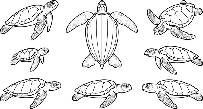 Sea turtle and leatherback marine reptile line art vector set for ocean animal coloring book design