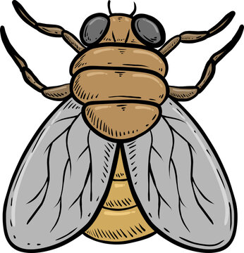 Cartoon Illustration of a Housefly