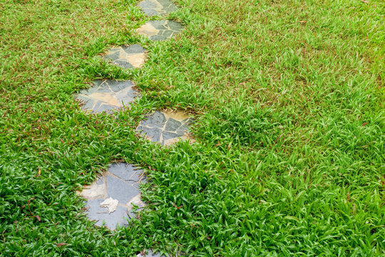 Garden landscape design with pathway in garden and footpath in picturesque summer park and staircase in backyard,Paving stones on floor in park,space for text.