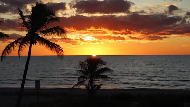 Naples Florida Sunset Over Gulf Beach with Gentle Waves, Palm Trees and Soft Tropical Light &mdash; cinematic travel destination, scenic landscape, golden hour light, realistic atmosphere