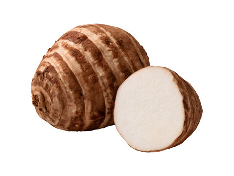 Fresh taro root with cut half isolated on transparent or white background, png