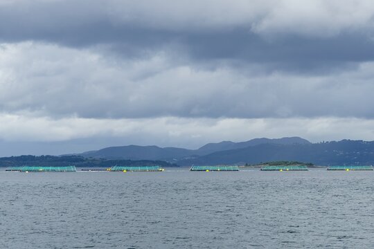 Fish farming aquaculture net pens in Norway fjord under cloudy sky.