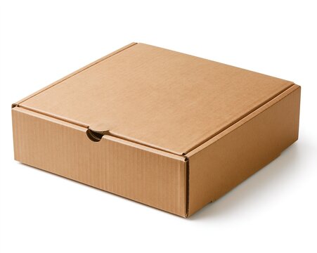 Open Cardboard Box with Lid Laid Flat