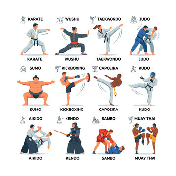 Martial arts combat sport action poses vector illustration