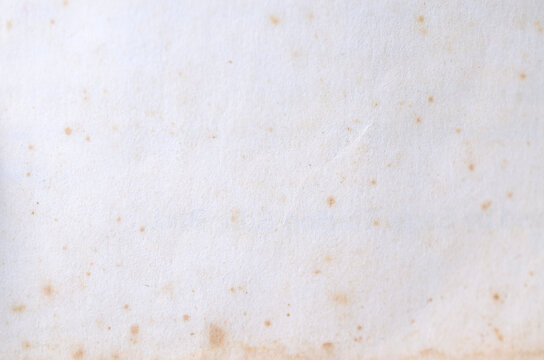 Aged White Paper Texture with Brown Foxing Stains and Spots