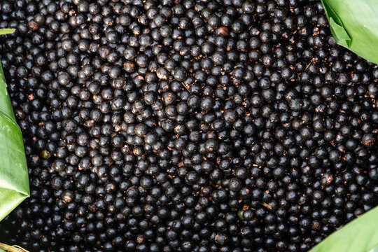 FRUTA AÇAÍ MANACA DEL AMAZONAS
