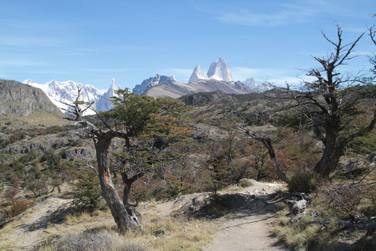 Hiking trail through lenga forest with Fitz Roy massif in distance, Los Glaciares National Park, Argentina