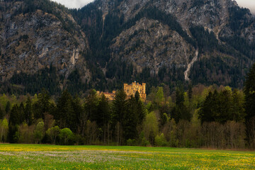 A picturesque yellow castle stands majestically amidst dense evergreen trees, with a vast meadow dotted with wildflowers in the foreground and a rugged mountain range behind. © Ann Stryzhekin