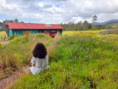 Back view of a young woman with curly hair in a white dress sitting in a flowering meadow near a red-roofed barn