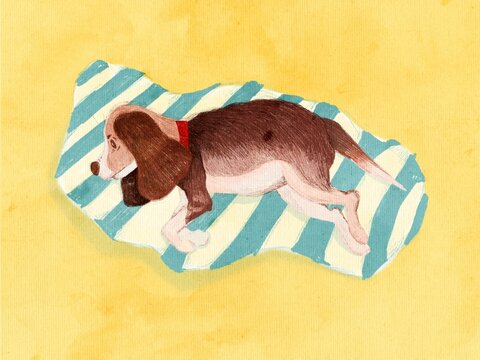 Sleeping Basset Hound Puppy on Striped Blanket Watercolor Illustration