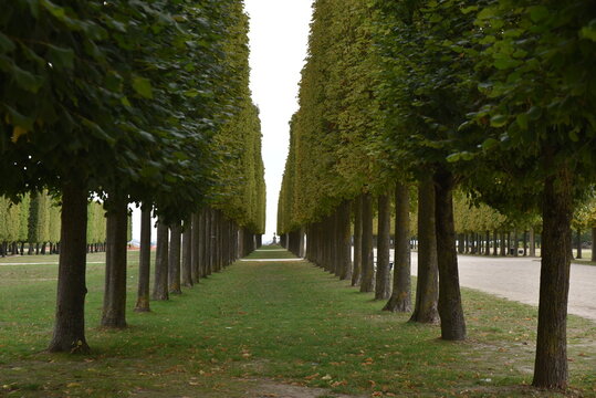 Parc en automne &agrave; Saint-Germain-en-Laye. France