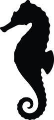 Seahorse silhouette vector. Sea horse vector icon © Shimul