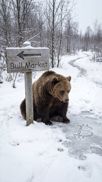 Bear in snowy forest sitting by a sign pointing to a bull market, with a bitcoin symbol on icy ground, illustrating financial market trends and investing concepts. Image made using Generative AI.