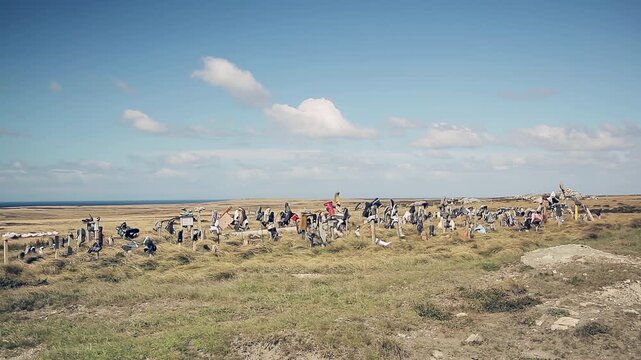 Landscape View Of Famous Boot Hill Memorial In Rural Falkland Islands (Islas Malvinas) - 4K