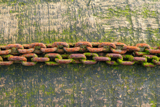 Rusty metal chains covered in green seaweed resting on the wet stone surface of the historic Harbour in Portsoy, Aberdeenshire, Scotland
