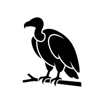 Vulture bird silhouette perched on branch for wildlife conservation and scavenger animal nature education projects.