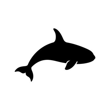 Black silhouette of an orca or killer whale swimming for marine life.