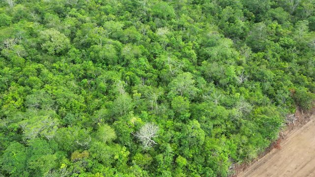 Aerial drone flyover documenting native rainforest being deforested with the use of an excavator in the Brazilian Amazon