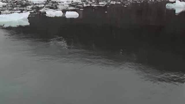 Floating ice and small ice pieces spread across dark cold water. The broader composition includes surface reflections, keeping surface texture and scale clearly readable.